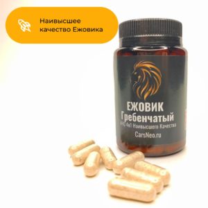 Наивысшее качество микродозинга Ежовика Гребенчатого